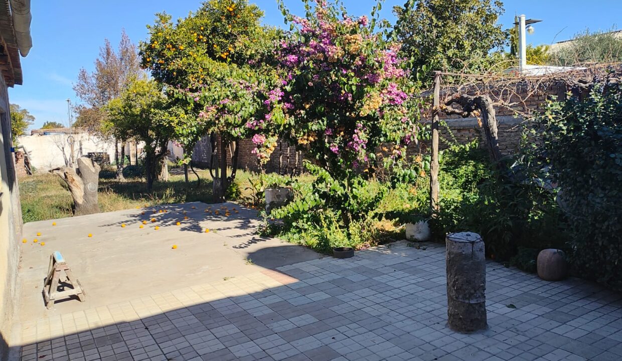 WhatsApp Image 2025-06-25 at 19.10.48 (4)