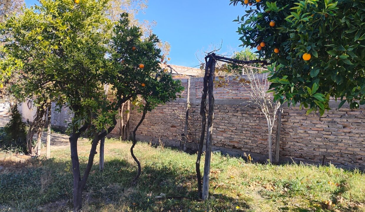 WhatsApp Image 2025-06-25 at 19.10.51 (1)