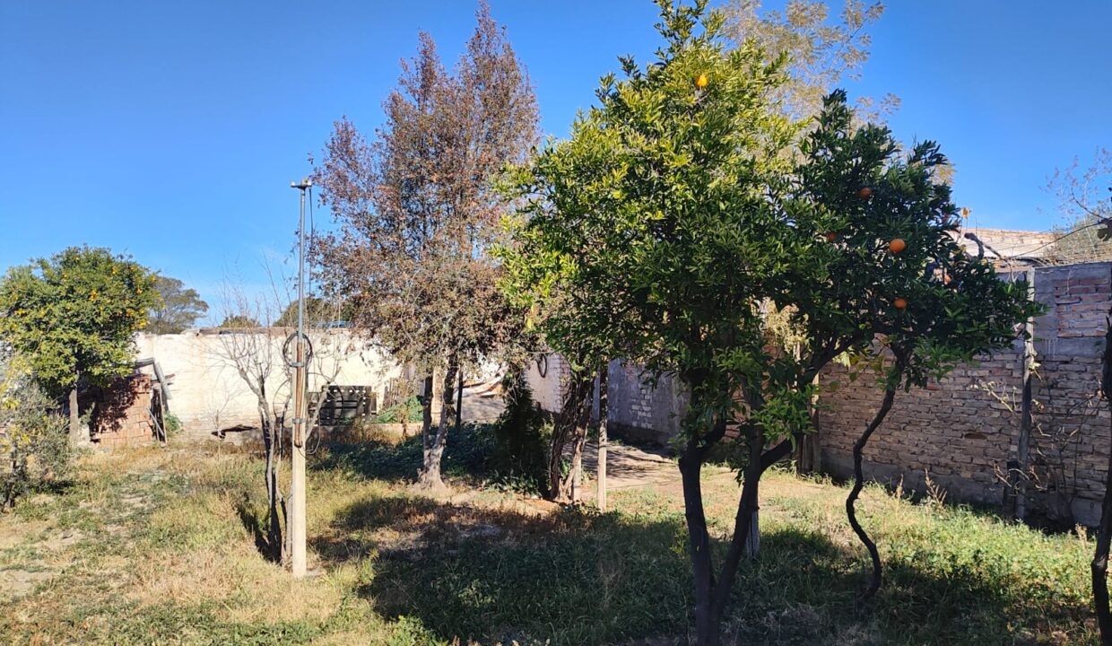 WhatsApp Image 2025-06-25 at 19.10.51 (2)