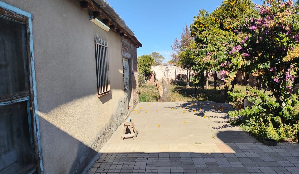 WhatsApp Image 2025-06-25 at 19.10.52 (2)