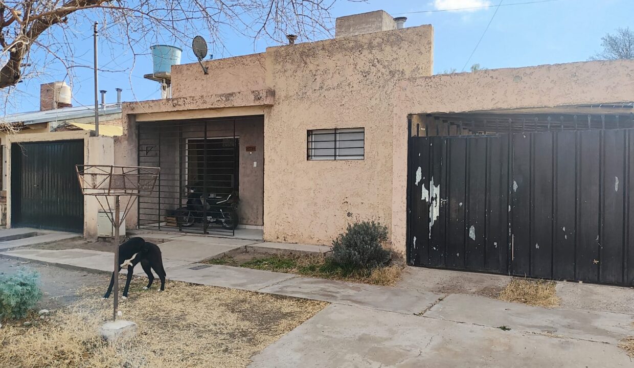 WhatsApp Image 2025-08-08 at 19.02.30