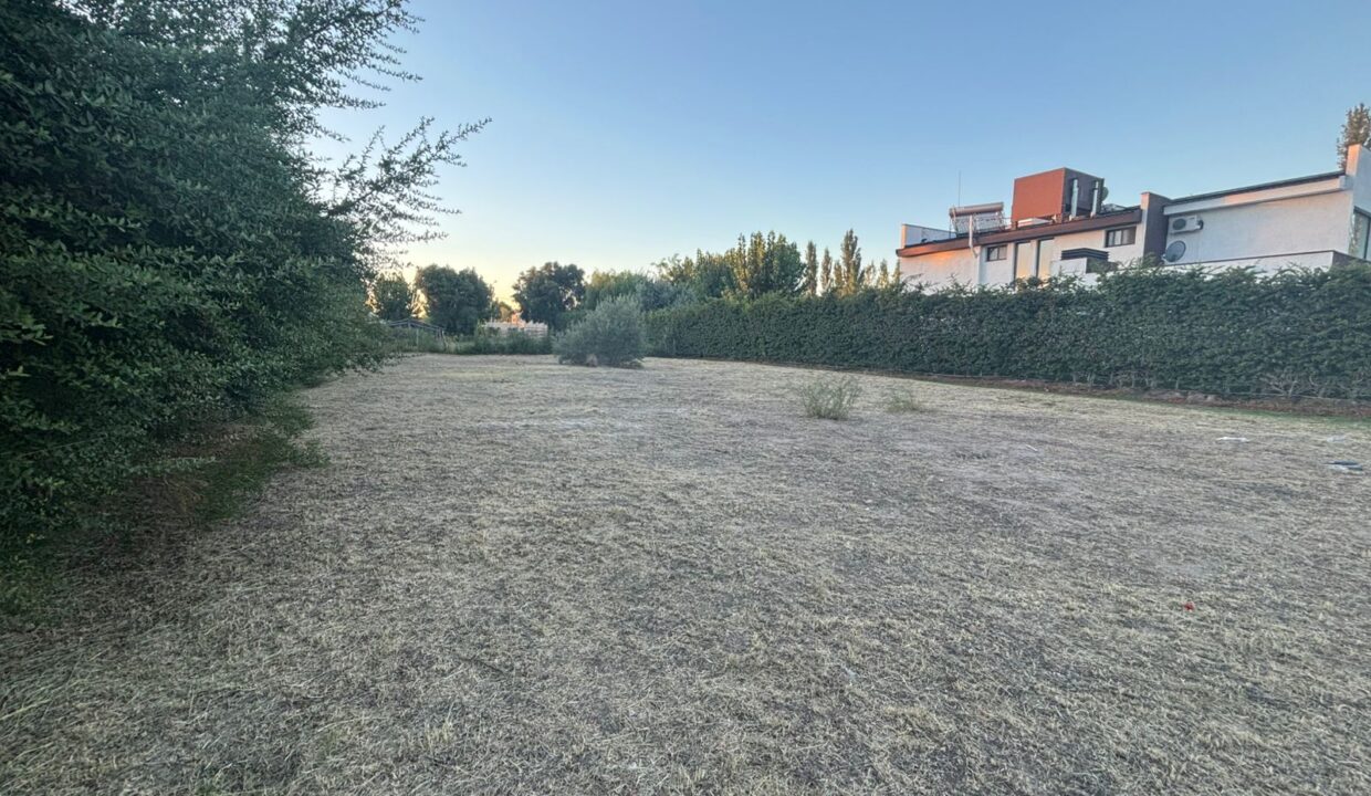 WhatsApp Image 2025-08-29 at 19.27.17