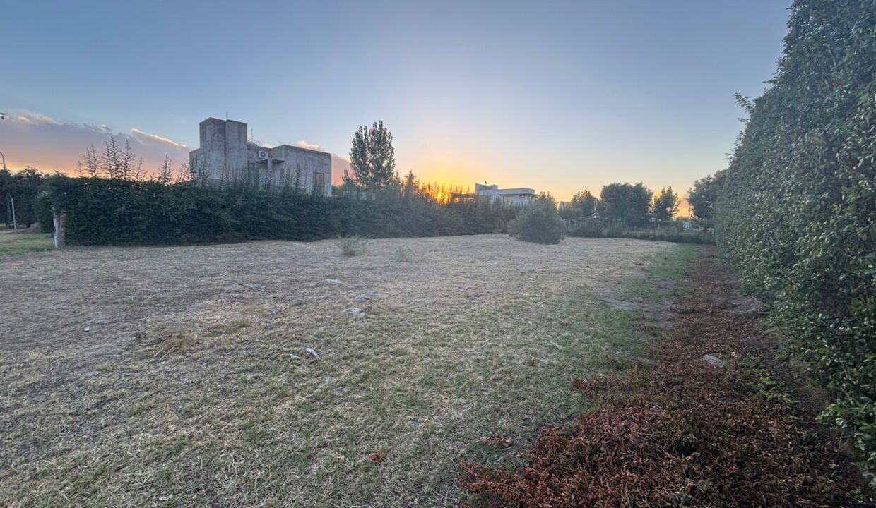 WhatsApp Image 2025-08-29 at 19.27.18