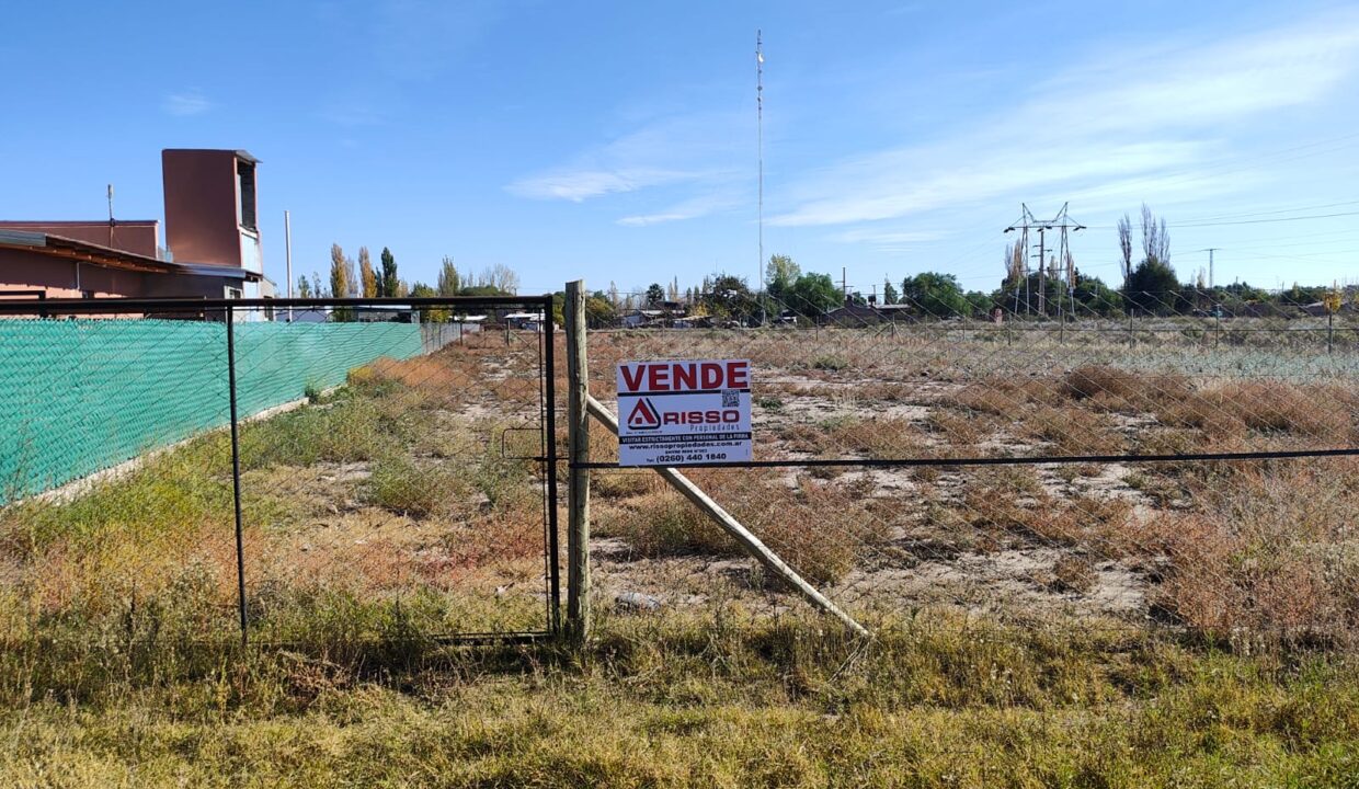 WhatsApp Image 2026-01-05 at 19.56.09 (1)