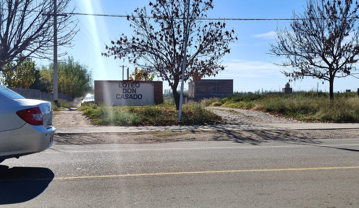 WhatsApp Image 2026-01-05 at 19.56.09