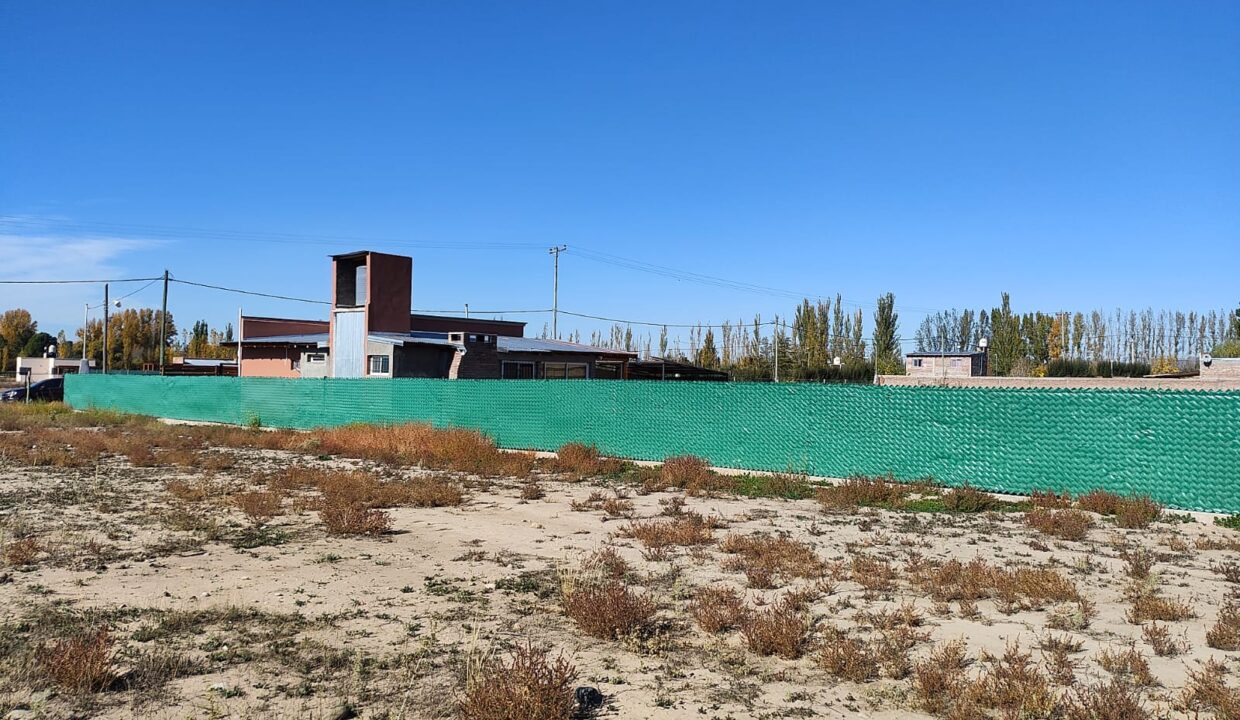 WhatsApp Image 2026-01-05 at 19.56.12