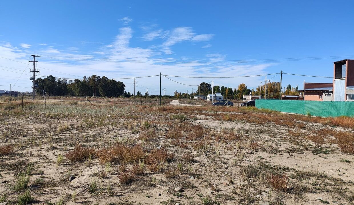 WhatsApp Image 2026-01-05 at 19.56.12 (2)