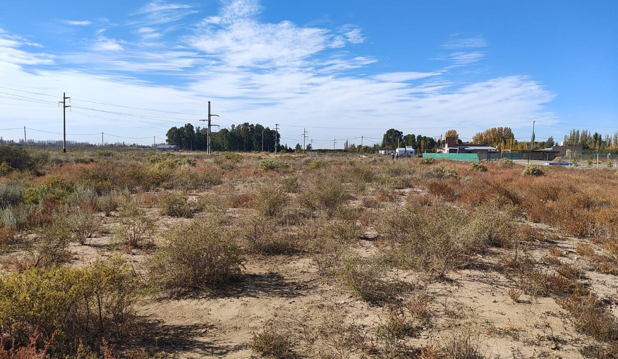 WhatsApp Image 2026-01-05 at 19.56.13 (2)