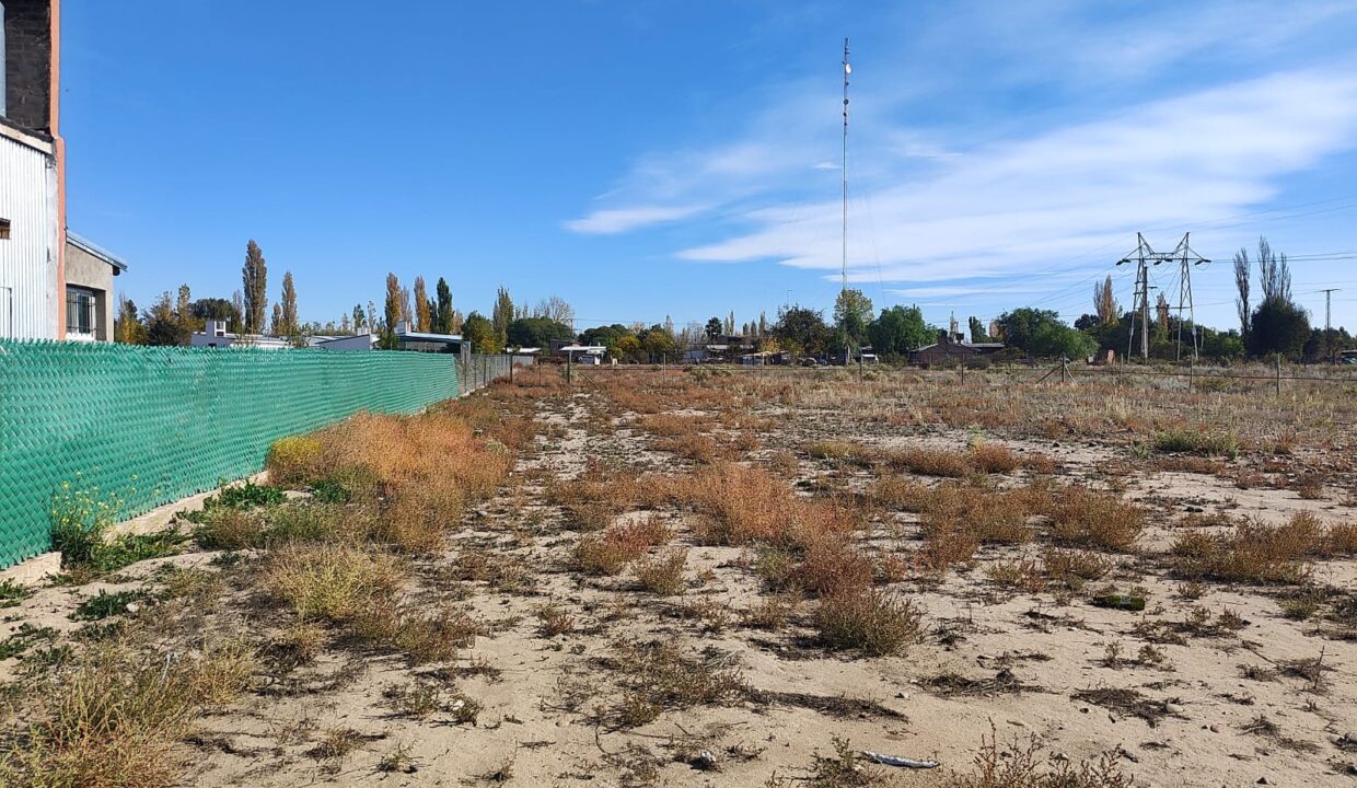 WhatsApp Image 2026-01-05 at 19.56.19 (1)