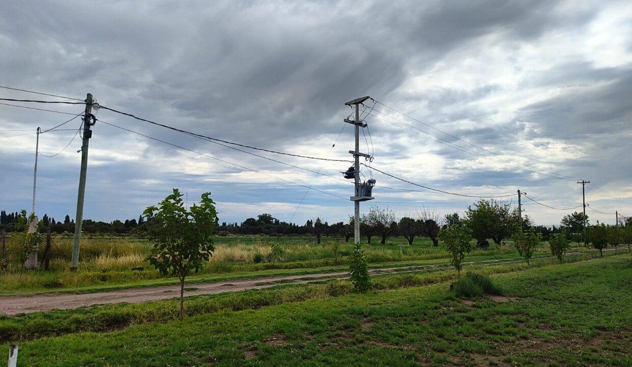 WhatsApp Image 2026-02-10 at 18.41.35