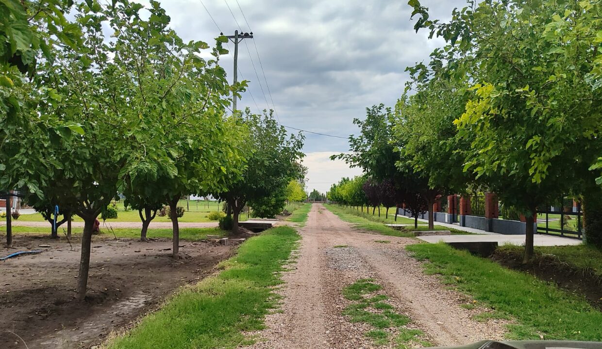 WhatsApp Image 2026-02-10 at 18.41.35 (2)