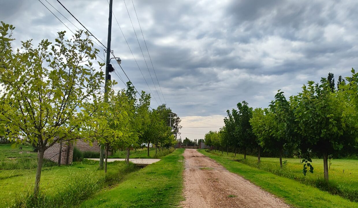 WhatsApp Image 2026-02-10 at 18.41.35 (3)