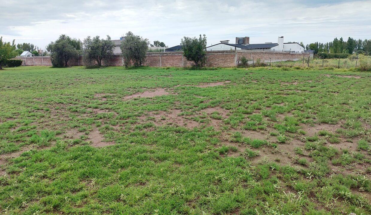 WhatsApp Image 2026-02-10 at 18.41.36 (1)