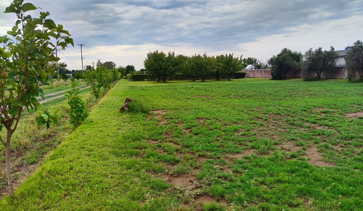 WhatsApp Image 2026-02-10 at 18.41.36 (2)