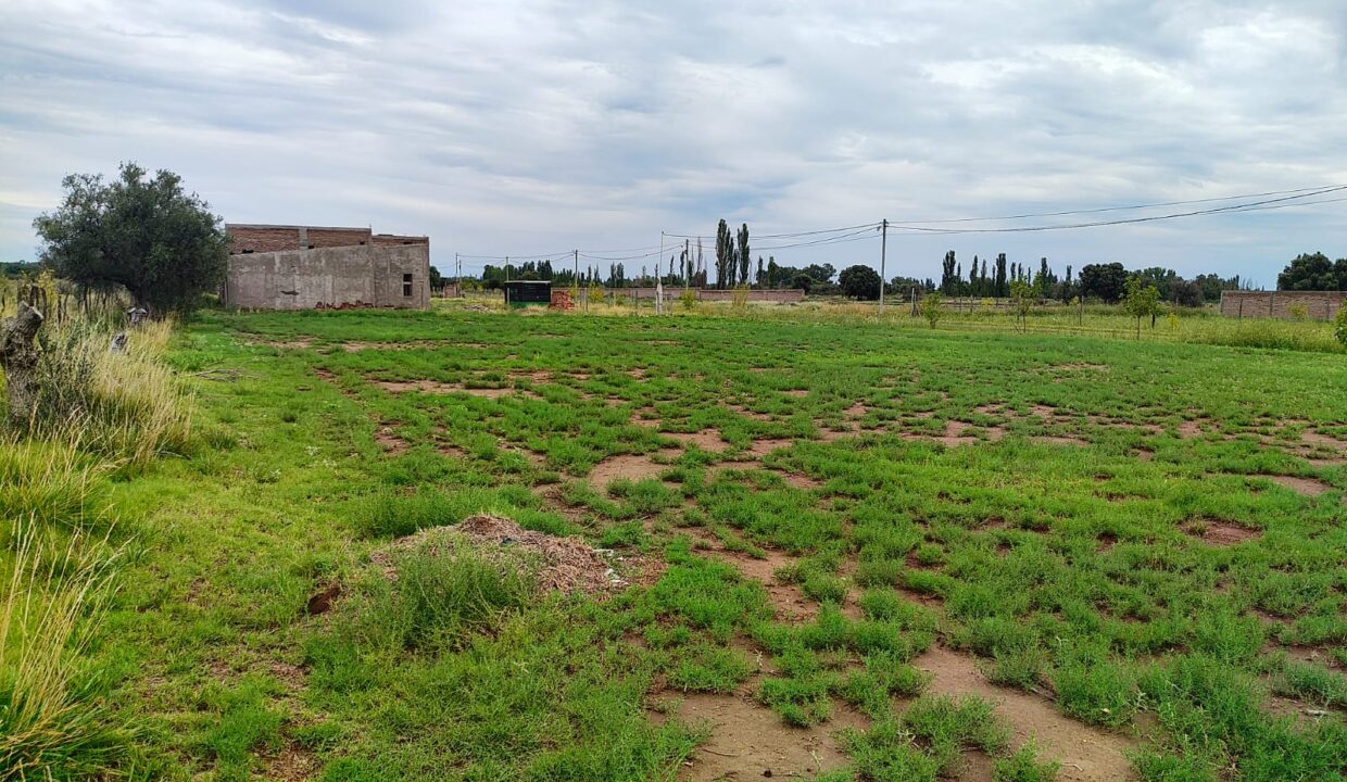 WhatsApp Image 2026-02-10 at 18.41.36 (3)