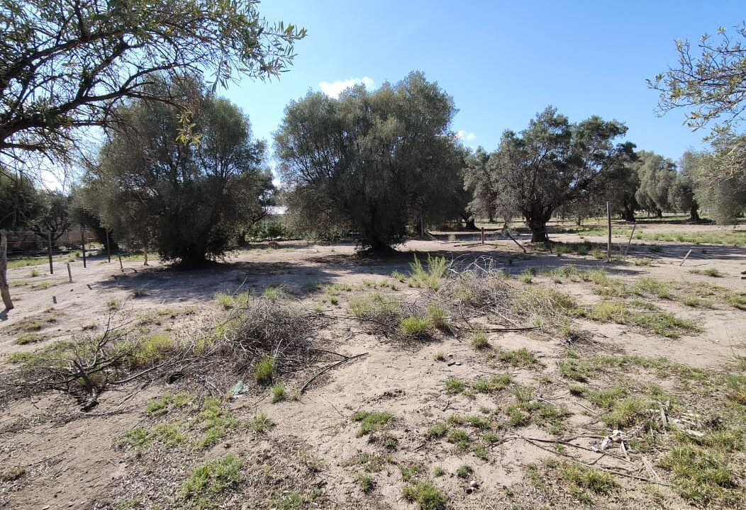 WhatsApp Image 2026-02-27 at 20.00.15 (1)