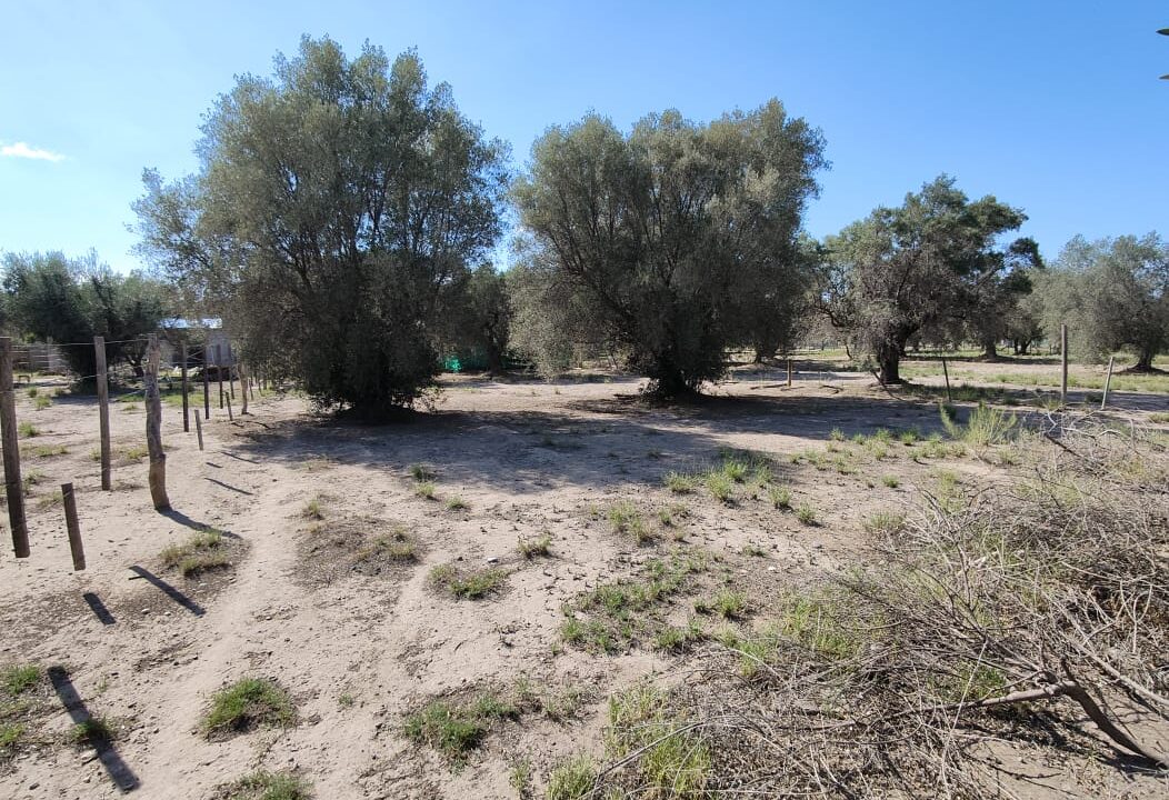 WhatsApp Image 2026-02-27 at 20.00.15 (2)