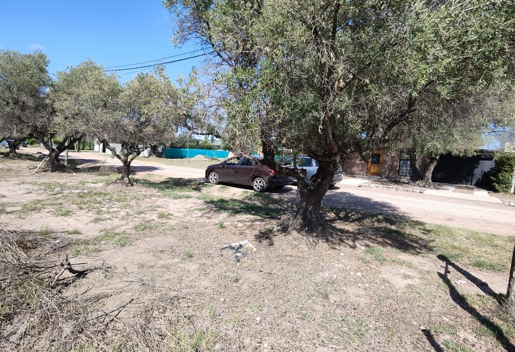 WhatsApp Image 2026-02-27 at 20.00.15 (3)