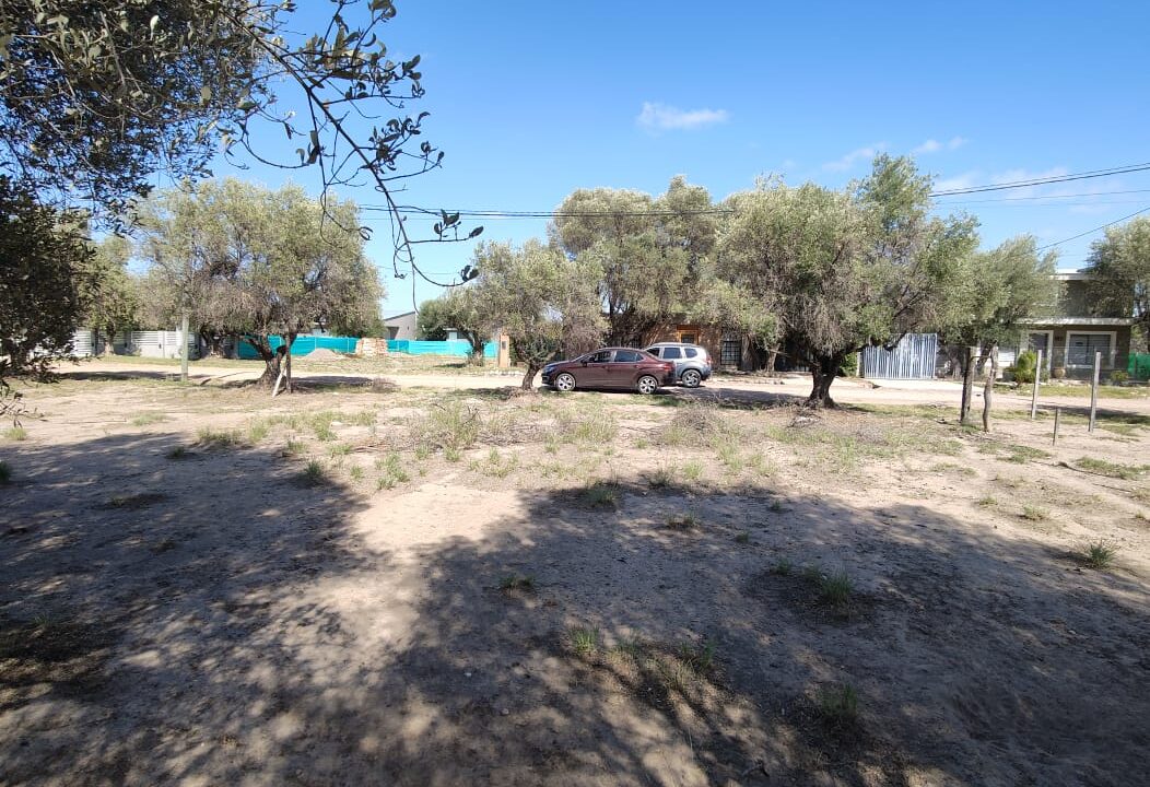 WhatsApp Image 2026-02-27 at 20.00.16 (1)