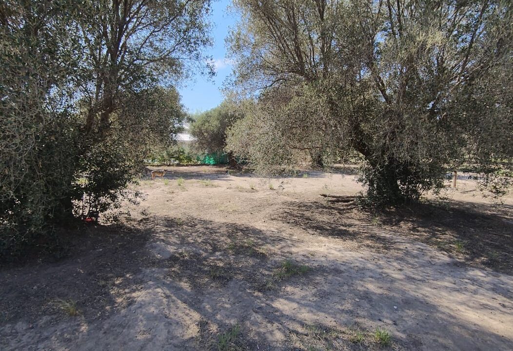 WhatsApp Image 2026-02-27 at 20.00.16