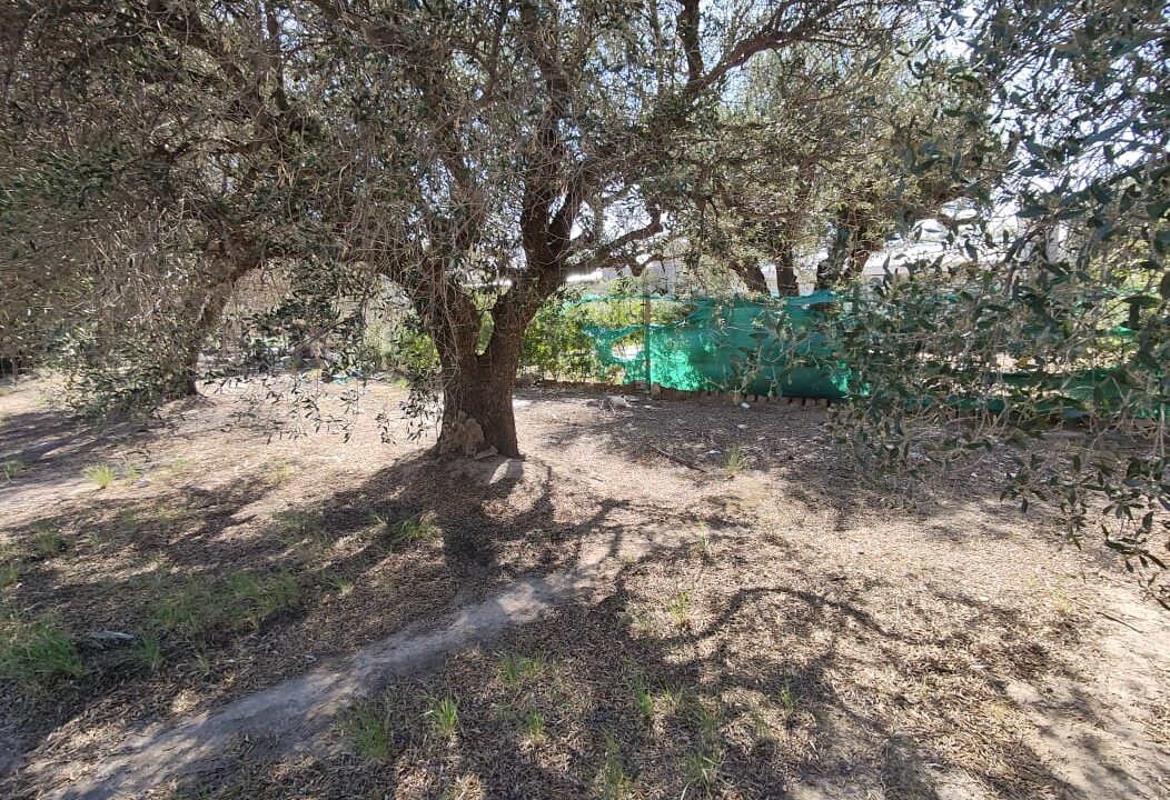 WhatsApp Image 2026-02-27 at 20.00.17 (1)