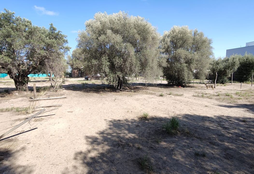 WhatsApp Image 2026-02-27 at 20.00.17