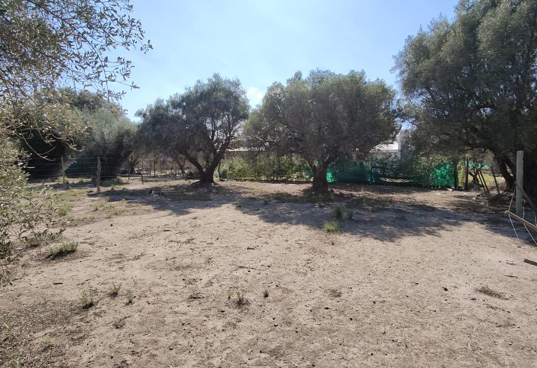 WhatsApp Image 2026-02-27 at 20.00.17 (2)