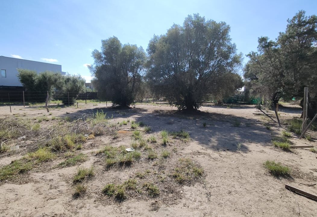 WhatsApp Image 2026-02-27 at 20.00.17 (3)