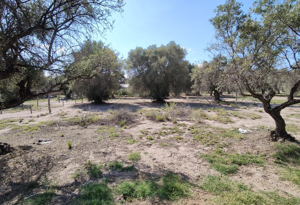 WhatsApp Image 2026-02-27 at 20.00.18