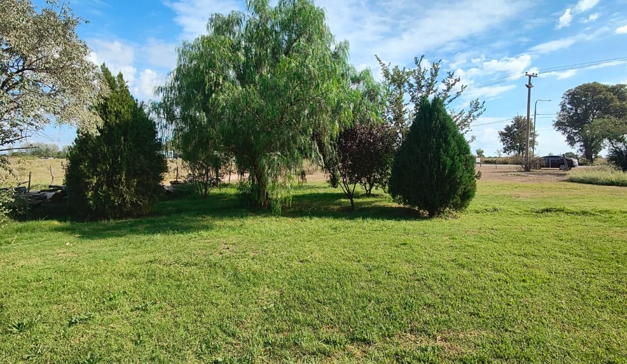 WhatsApp Image 2026-04-07 at 19.38.46