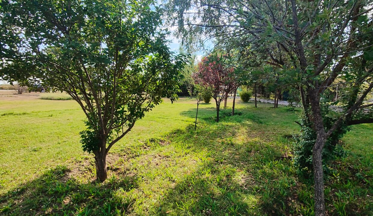 WhatsApp Image 2026-04-07 at 19.38.47 (1)