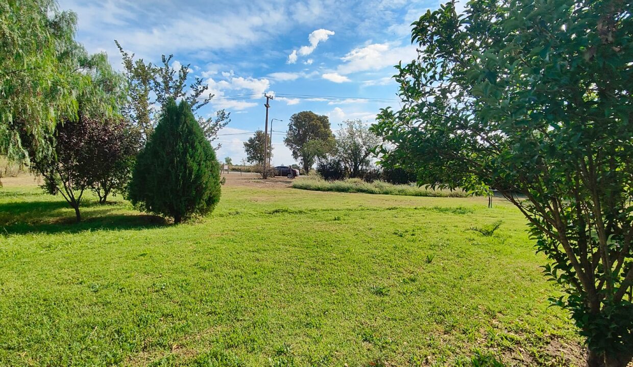 WhatsApp Image 2026-04-07 at 19.38.47