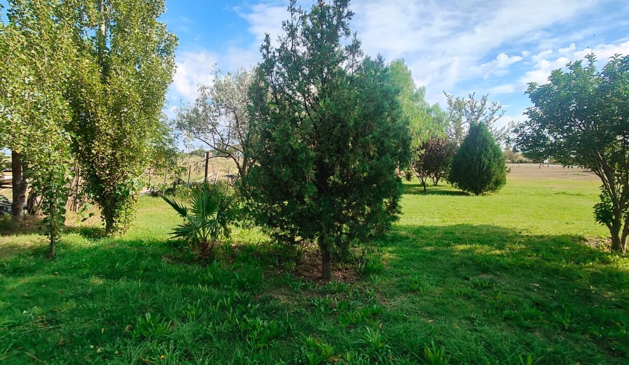 WhatsApp Image 2026-04-07 at 19.38.48 (1)