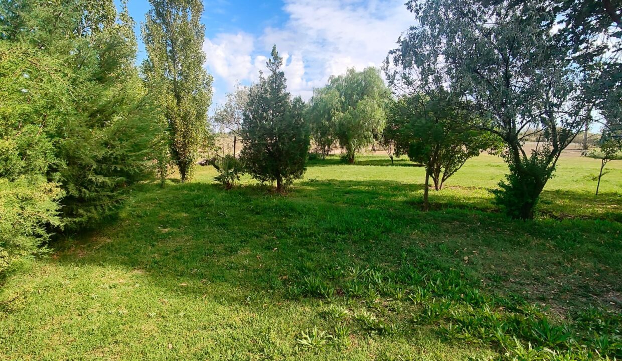 WhatsApp Image 2026-04-07 at 19.38.48 (2)