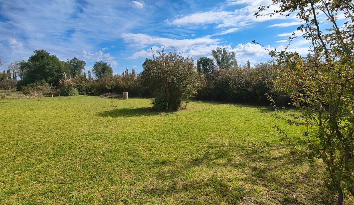 WhatsApp Image 2026-04-07 at 19.40.19