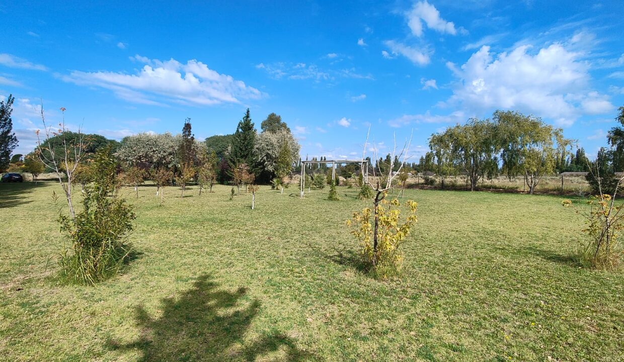 WhatsApp Image 2026-04-07 at 19.40.20 (1)