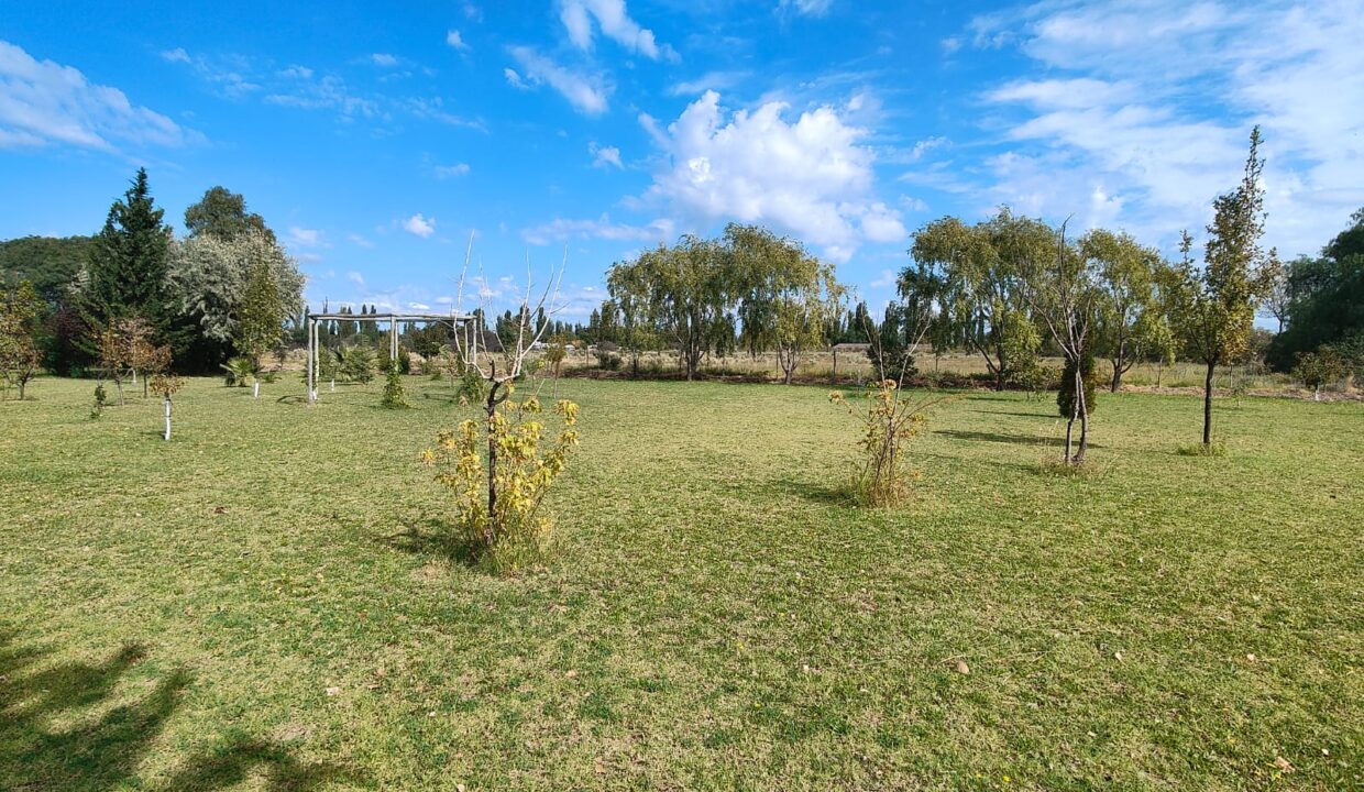 WhatsApp Image 2026-04-07 at 19.40.20