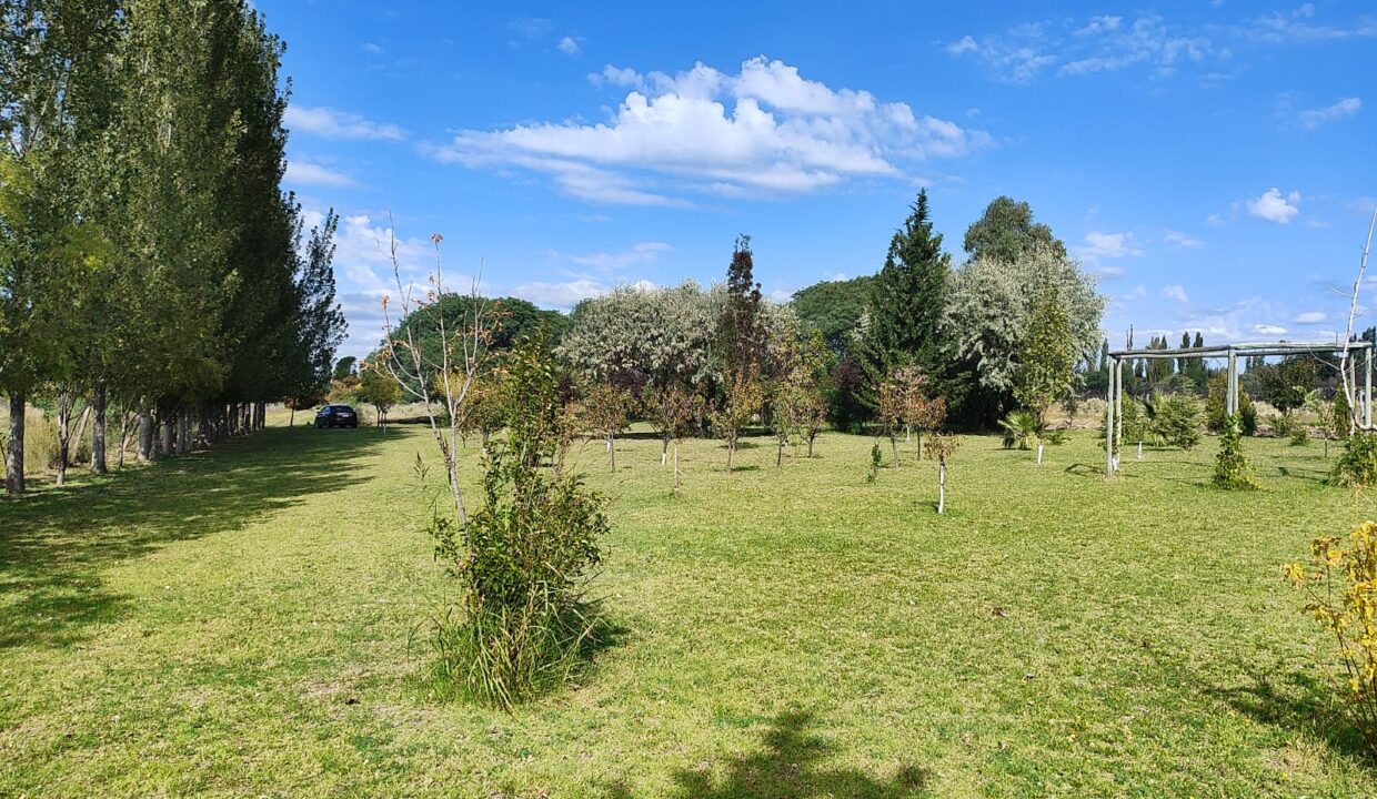 WhatsApp Image 2026-04-07 at 19.40.20 (2)