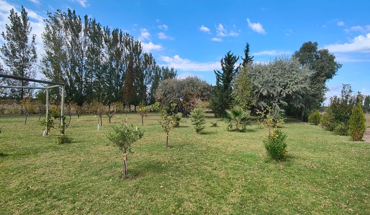 WhatsApp Image 2026-04-07 at 19.40.20 (3)