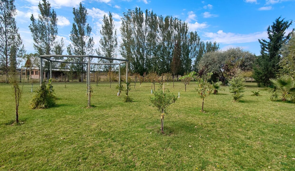 WhatsApp Image 2026-04-07 at 19.40.20 (4)