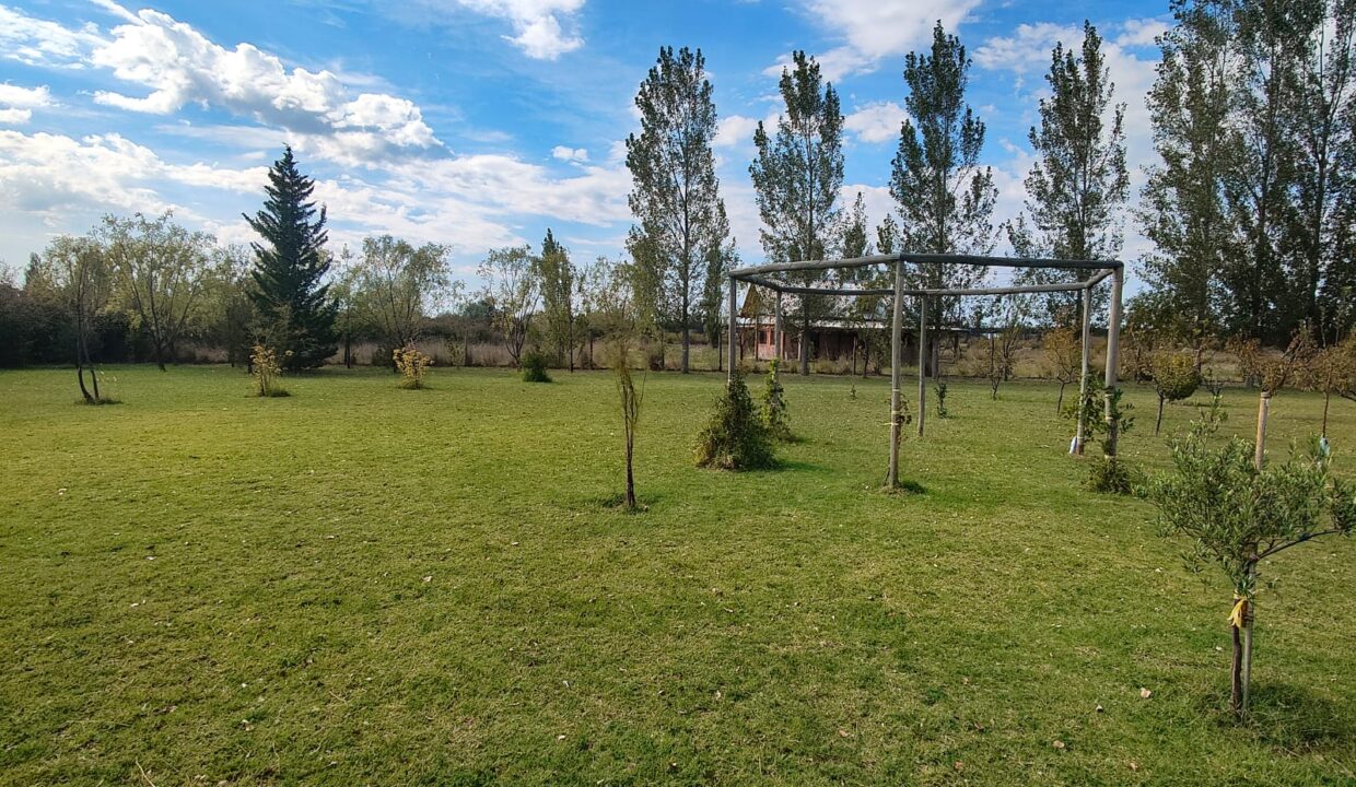 WhatsApp Image 2026-04-07 at 19.40.21