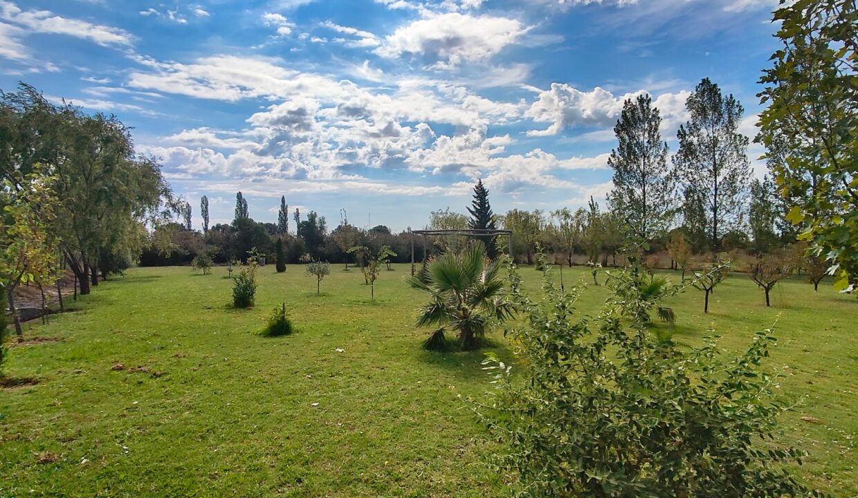 WhatsApp Image 2026-04-07 at 19.40.21 (3)