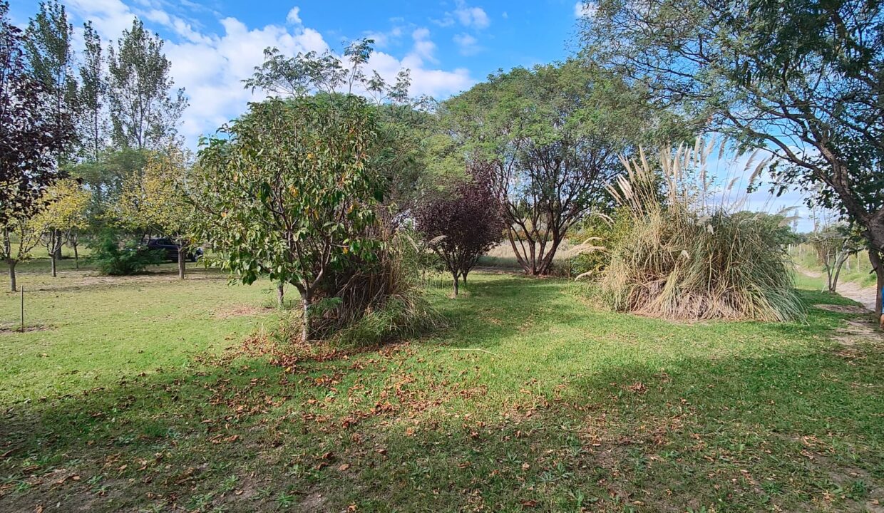 WhatsApp Image 2026-04-07 at 19.40.22 (1)