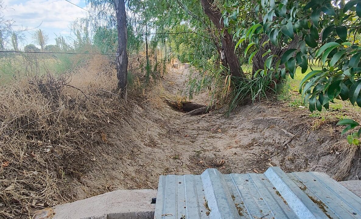 WhatsApp Image 2026-04-07 at 19.40.22