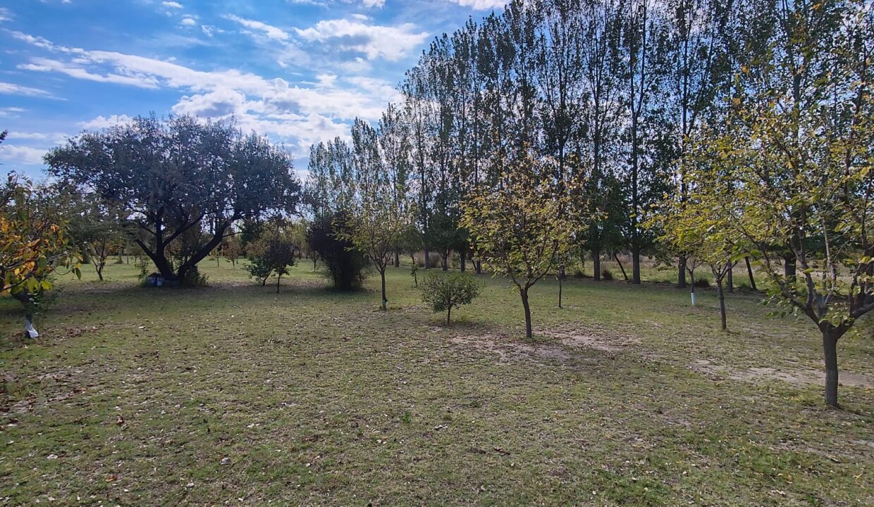 WhatsApp Image 2026-04-07 at 19.40.23 (1)