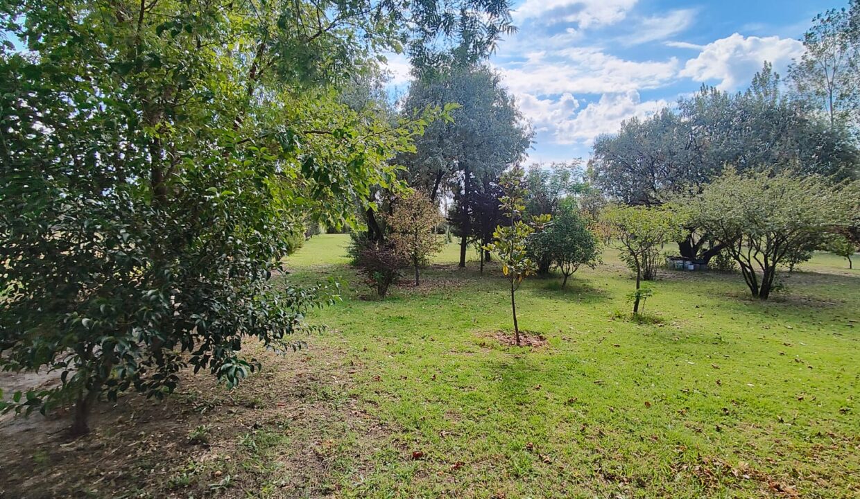 WhatsApp Image 2026-04-07 at 19.40.23