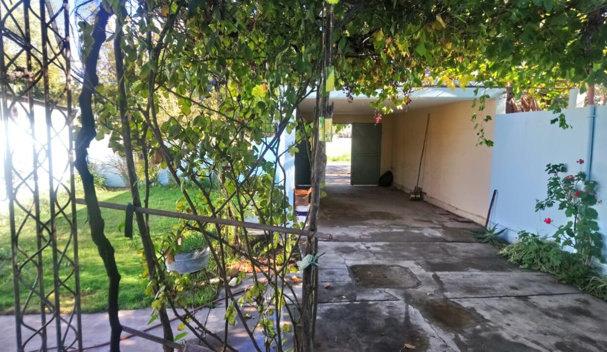 IMG-20190520-WA0087